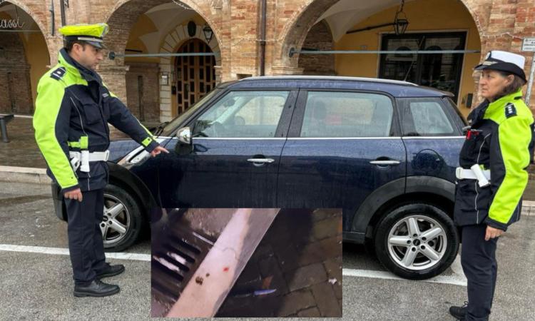 San Severino, rissa in piazza del Popolo. Piermattei: "Gli agenti hanno evitato il peggio" San Severino, rissa in piazza del Popolo. Piermattei: "Gli agenti hanno evitato il peggio"