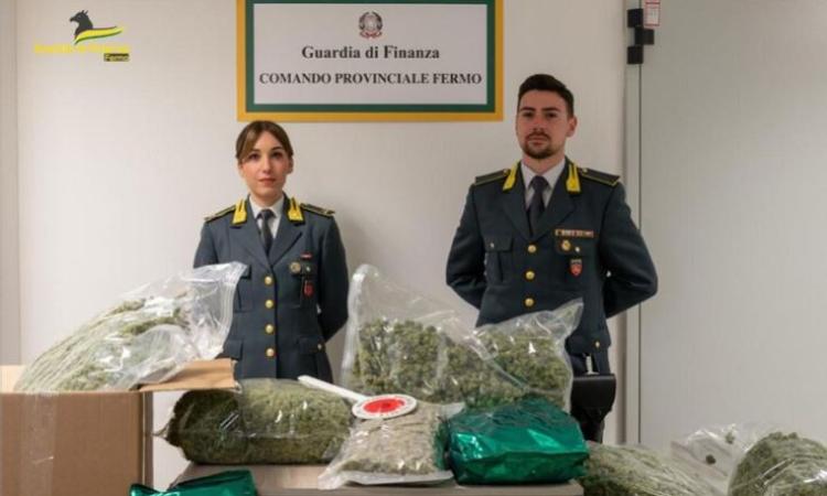 L'etichetta dice materiale farmaceutico ma in realtà era marijuana: la scoperta della Finanza L'etichetta dice materiale farmaceutico ma in realtà era marijuana: la scoperta della Finanza