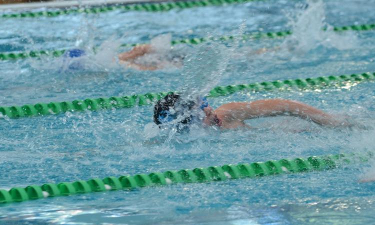 Civitanova, al Grillo un corso di istruttore di nuoto federale: il primo nelle Marche Civitanova, al Grillo un corso di istruttore di nuoto federale: il primo nelle Marche