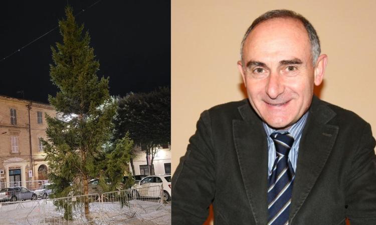 Civitanova Alta e il caso Albero di Natale, Carassai: "Polemica sterile a discapito della città"