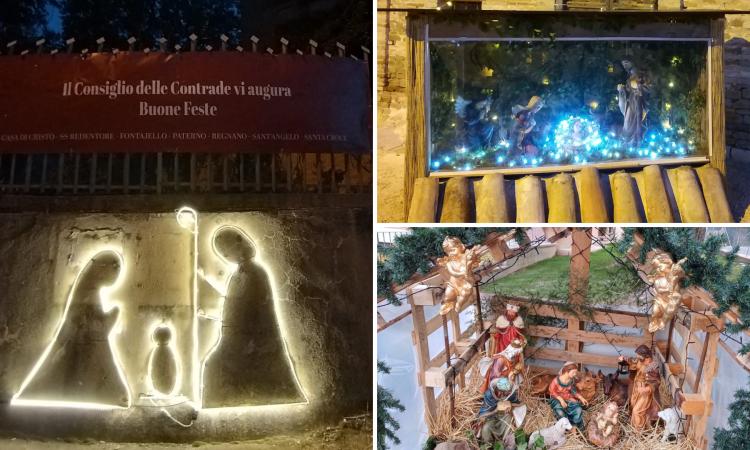 Tolentino, le Contrade si illuminano per Natale: "Un segnale di rinascita dal nostro Consiglio"