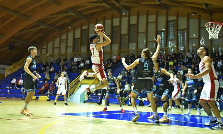 Basket, un dolce Natale per l'Halley Matelica: vittoria contro Roseto e primo posto