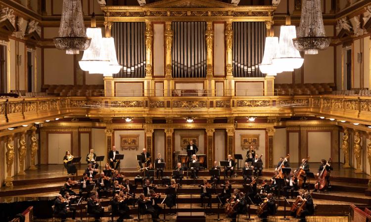 La Form cerca un nuovo direttore artistico: come fare domanda La Form cerca un nuovo direttore artistico: come fare domanda