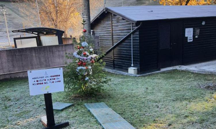 "Aggiungi un addobbo in ricordo del tuo caro": al cimitero di Tolentino spunta l'albero di Natale "Aggiungi un addobbo in ricordo del tuo caro": al cimitero di Tolentino spunta l'albero di Natale