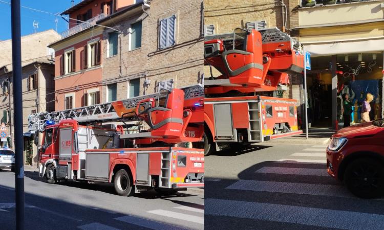 Macerata, cortocircuito della lavatrice: incendio nell'appartamento, intossicati due gatti
