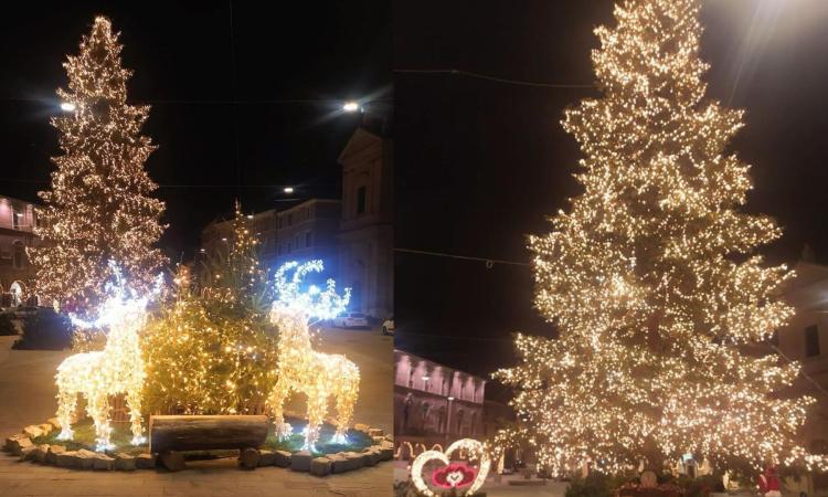 L'albero di Natale più bello delle Marche è a piazza Del Popolo: San Severino sbaraglia la concorrenza