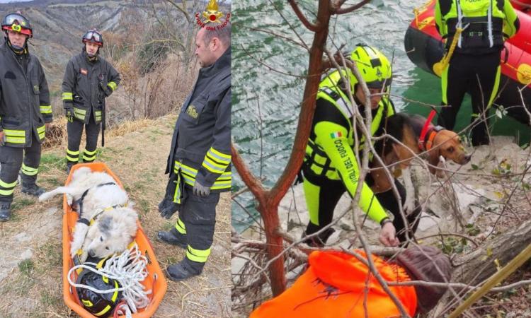 Un ultimo dell'anno ricco di salvataggi: recuperati tre cani dai vigili del fuoco Un ultimo dell'anno ricco di salvataggi: recuperati tre cani dai vigili del fuoco