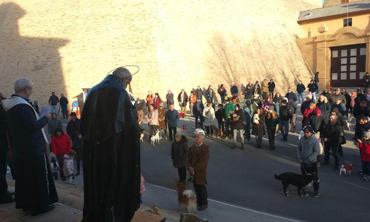 Tradizione rispettata, in tanti a Mogliano per la festa di Sant'Antonio Abate Tradizione rispettata, in tanti a Mogliano per la festa di Sant'Antonio Abate
