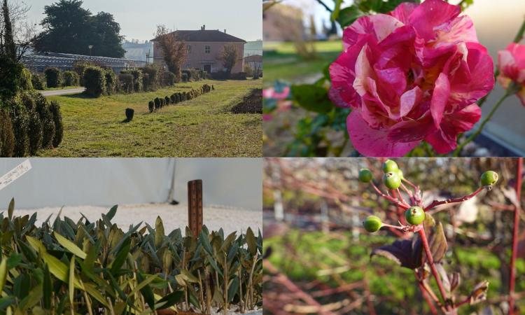 Pollenza, il vivaio delle mille e bio diversità: un viaggio alla scoperta degli ecosistemi grazie ad Amap Pollenza, il vivaio delle mille e bio diversità: un viaggio alla scoperta degli ecosistemi grazie ad Amap