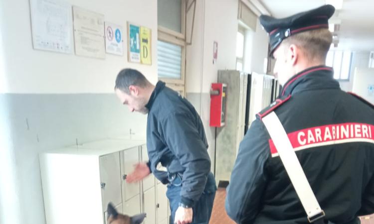 Marijuana e hashish nell'autobus e nei pressi di un'aula: controlli nelle scuole di Cingoli