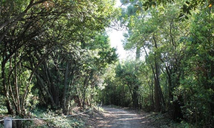 Macerata, lavori sulla vecchia torretta: chiuso il parco di Villa Lauri Macerata, lavori sulla vecchia torretta: chiuso il parco di Villa Lauri