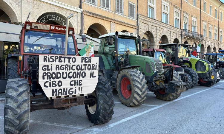 San Severino, nuova protesta degli agricoltori indipendenti: trattori nel piazzale del Commercio San Severino, nuova protesta degli agricoltori indipendenti: trattori nel piazzale del Commercio