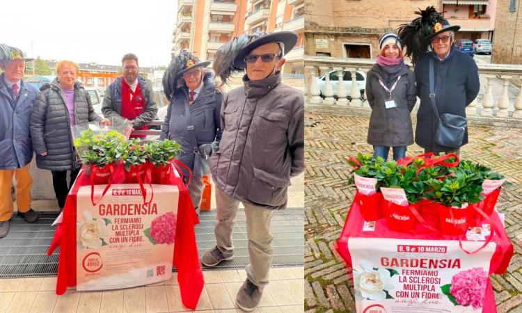 Macerata, bersaglieri e volontari Aism in piazza per fermare la sclerosi multipla con "Bentornata Gardensia" (FOTO)