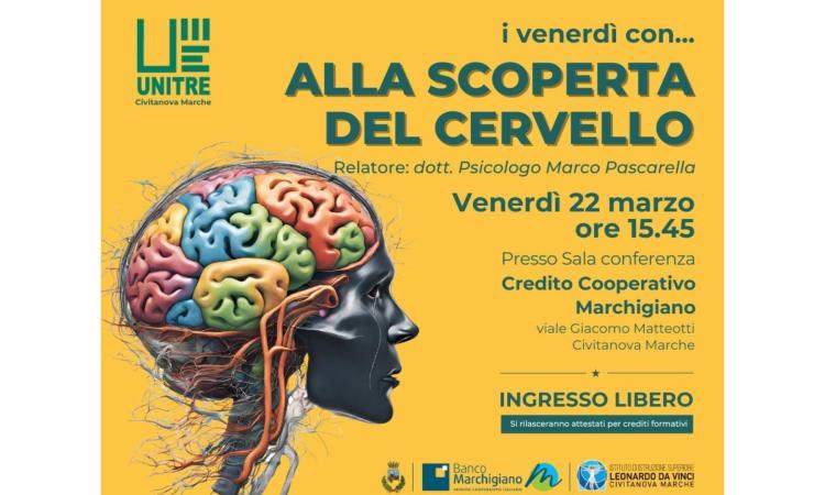 Civitanova, rassegna Unitre: incontro con il dottor Marco Pascarella su "i meccanismi del cervello umano"