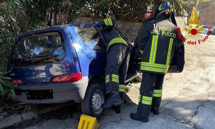 Perde il controllo dell'auto e finisce contro un albero: donna ricoverata a Torrette