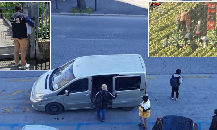 Turni da 12 ore senza paga nei campi, l'ombra del caporalato a Macerata: sequestri per 150mila euro Turni da 12 ore senza paga nei campi, l'ombra del caporalato a Macerata: sequestri per 150mila euro