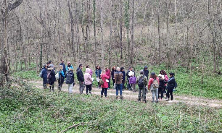 Pieve Torina, successo di pubblico al sentiero delle acque per il forest bathing