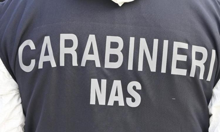 Blitz dei Nas nelle Marche, sequestrate oltre 200 tonnellate di latte e prodotti caseari Blitz dei Nas nelle Marche, sequestrate oltre 200 tonnellate di latte e prodotti caseari