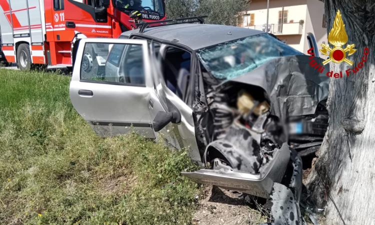 Perde il controllo dell'auto e si schianta contro un albero: un uomo a Torrette in eliambulanza Perde il controllo dell'auto e si schianta contro un albero: un uomo a Torrette in eliambulanza