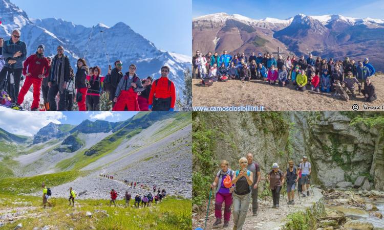 Il Camoscio dei Sibillini raggiunge 50mila followers: un'escursione (gratis) per festeggiare il traguardo a Ussita