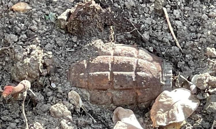Treia, ritrovata una bomba a mano a Villa Spada: intervengono gli artificieri Treia, ritrovata una bomba a mano a Villa Spada: intervengono gli artificieri