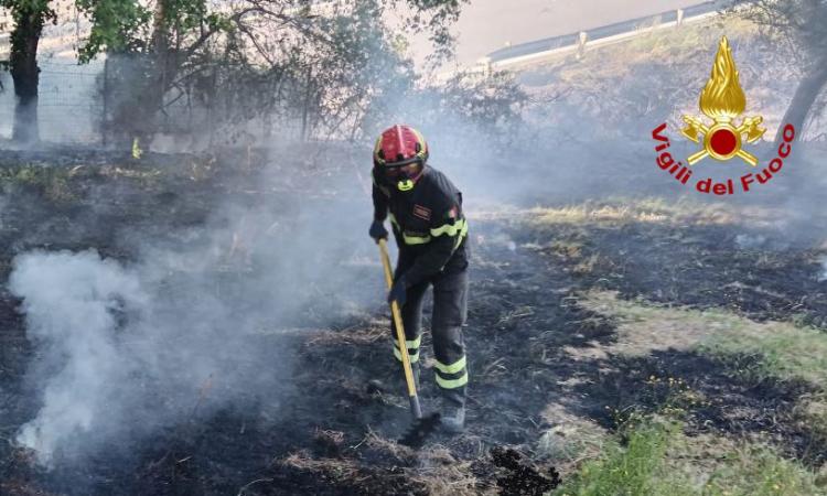 Tolentino, scoppia incendio ai bordi della superstrada: pronto intervento dei vigili del fuoco Tolentino, scoppia incendio ai bordi della superstrada: pronto intervento dei vigili del fuoco