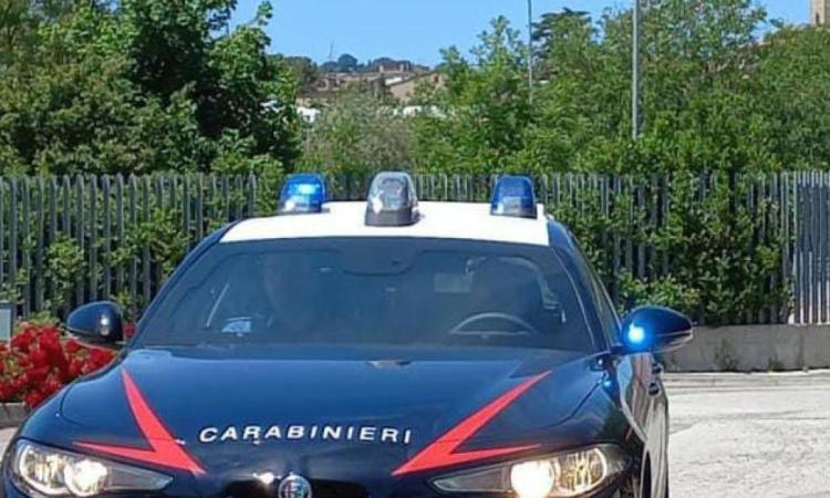 Tolentino, ubriaco infastidisce barista e aggredisce i carabinieri: scatta il Daspo urbano Tolentino, ubriaco infastidisce barista e aggredisce i carabinieri: scatta il Daspo urbano