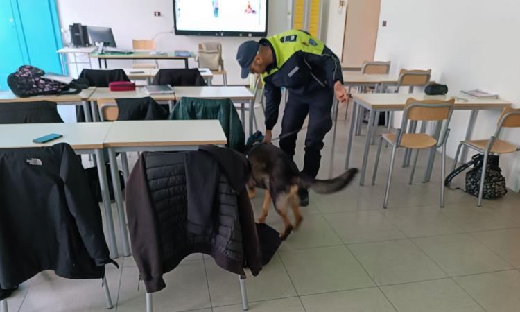 San Severino, controlli antidroga nelle scuole: forze dell'ordine e unità cinofila tra i banchi del "Divini"