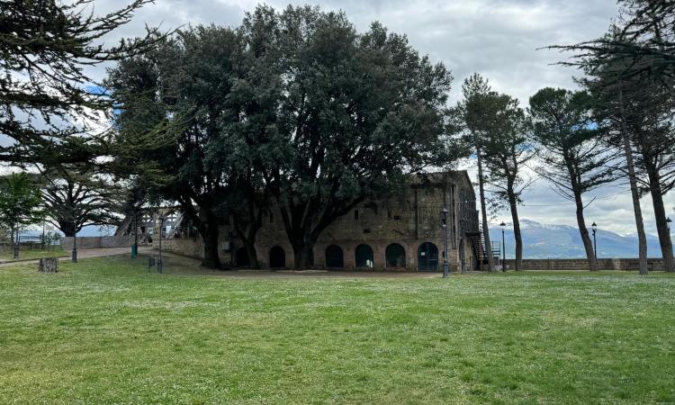 Camerino, gestione chiosco dei giardini della Rocca del Borgia: pubblicato un nuovo bando Camerino, gestione chiosco dei giardini della Rocca del Borgia: pubblicato un nuovo bando