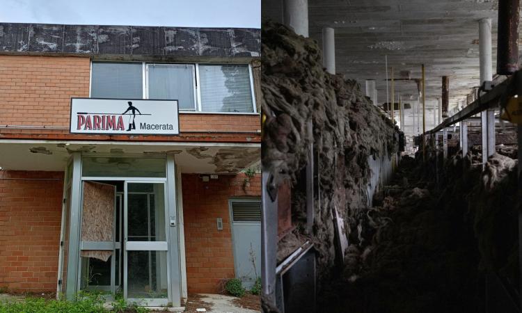 Macerata, viaggio all’interno dell’edificio abbandonato dell’ex Parima: il panificio storico oggi nel degrado (VIDEO e FOTO)
