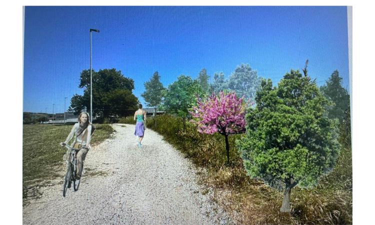 Un bosco urbano nella zona industriale? Civitanova lancia la sfida