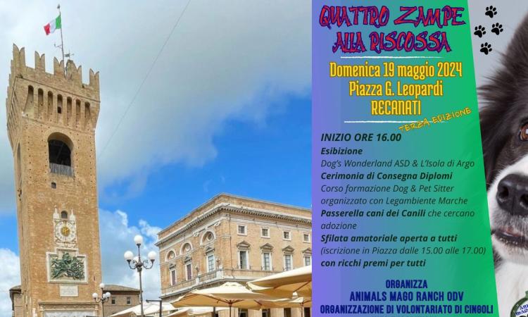 Recanati, torna la terza edizione di "Quattro zampe alla riscossa": un pomeriggio tutto dedicato ai cani Recanati, torna la terza edizione di "Quattro zampe alla riscossa": un pomeriggio tutto dedicato ai cani