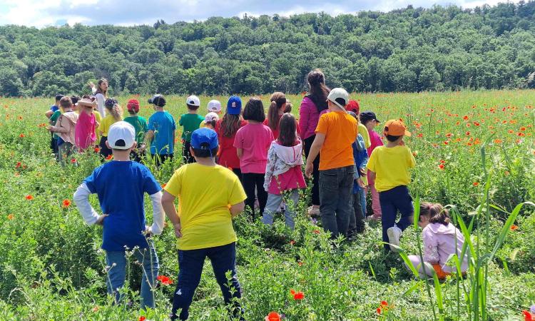 Una nuova area verde e casette per le api: Abbadia di Fiastra sempre più green