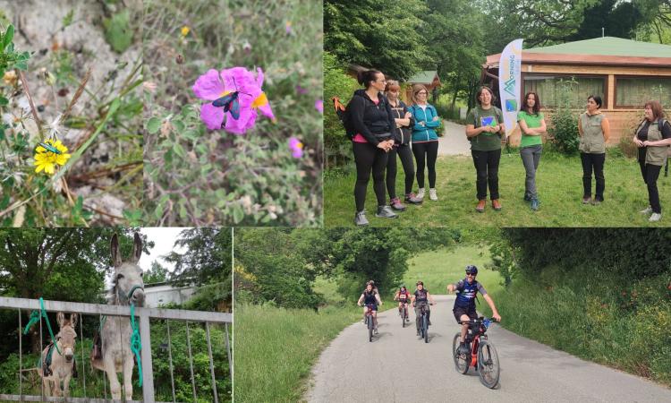 Un viaggio nelle bellezze dei Sibillini: carbonai e farfalle protagonisti a Cessapalombo