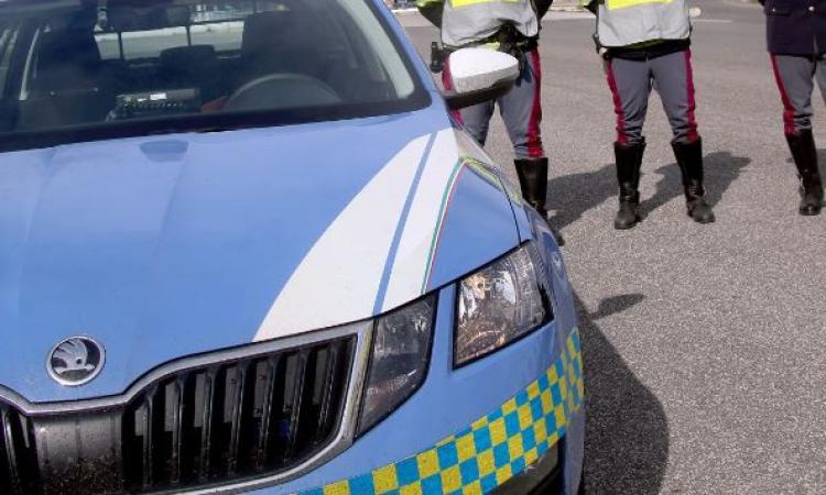 Ruba un'auto dalla concessionaria e si scontra con una volante mentre è in fuga: arrestato