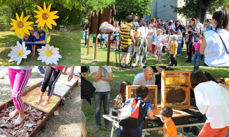 Mogliano in festa per la giornata mondiale delle api: tanti gli eventi al Parco Fluviale Mogliano in festa per la giornata mondiale delle api: tanti gli eventi al Parco Fluviale
