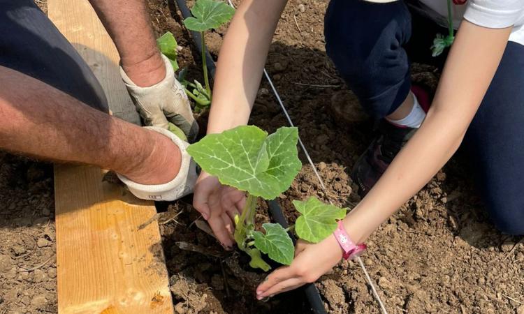 “Semi di Abilità”: al via il campus agricolo inclusivo per giovani con autismo e sindrome di Asperger
