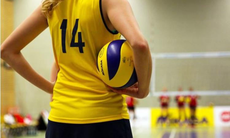 La crescita del volley nelle Marche La crescita del volley nelle Marche