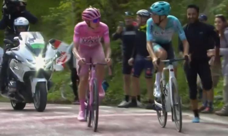 Pogacar cannibale, ma è di nuovo Pellizzari show sul Monte Grappa Pogacar cannibale, ma è di nuovo Pellizzari show sul Monte Grappa