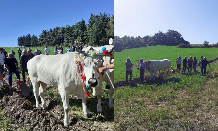 Serravalle di Chienti entra a far parte dei "Borghi del solco": una tradizione antica mai abbandonata