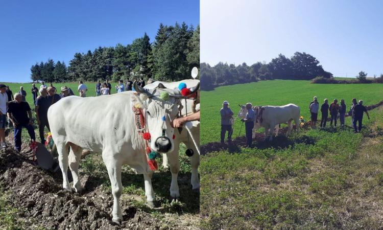 Serravalle di Chienti entra a far parte dei "Borghi del solco": una tradizione antica mai abbandonata Serravalle di Chienti entra a far parte dei "Borghi del solco": una tradizione antica mai abbandonata