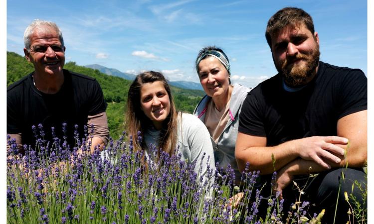 Valfornace, da Roma a Fiordimonte per cambiare vita nel segno della lavanda: "La Melanda" apre le porte