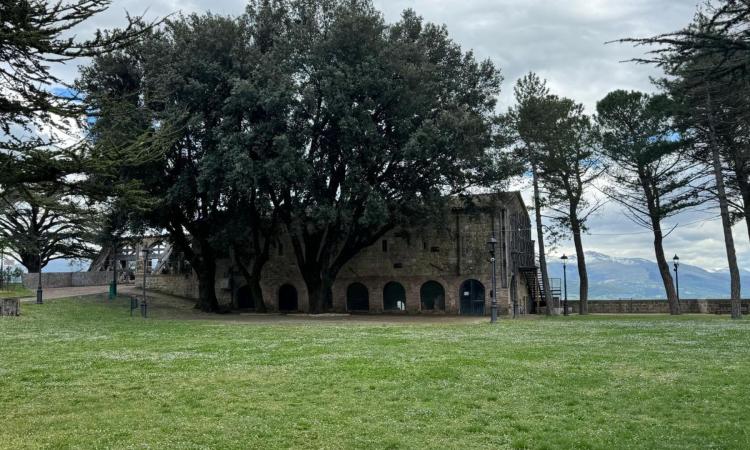 Camerino, "errore nella procedura di pubblicazione": terzo bando per la gestione del bar della Rocca Camerino, "errore nella procedura di pubblicazione": terzo bando per la gestione del bar della Rocca