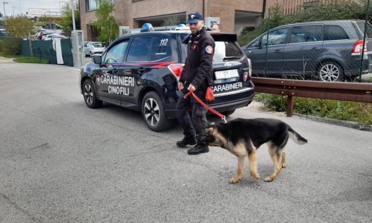 Monte San Giusto, alla vista dei carabinieri gettano la droga dal balcone: denunciata coppia