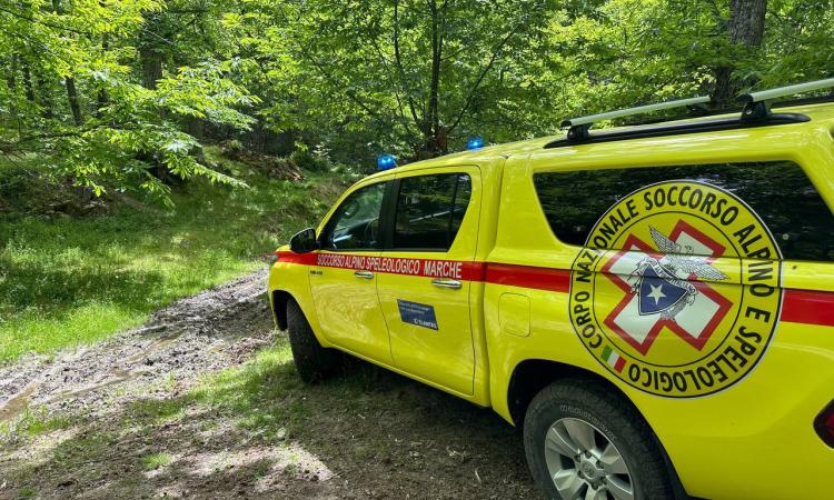 Va in cerca di funghi e non fa rientro, i compagni lanciano l'allarme: soccorso un uomo