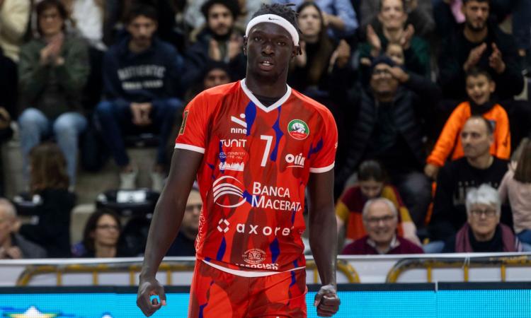 Volley Banca Macerata punta ancora su Bara Fall: "Questa città merita la Serie A2" Volley Banca Macerata punta ancora su Bara Fall: "Questa città merita la Serie A2"