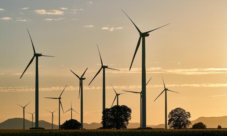 Energie rinnovabili, Italia in crescita: è il 12° paese più sostenibile in Europa Energie rinnovabili, Italia in crescita: è il 12° paese più sostenibile in Europa