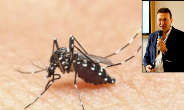 Tolentino, disinfestazione mista per prevenire infezioni da zanzare: il sindaco Sclavi spiega le misure Tolentino, disinfestazione mista per prevenire infezioni da zanzare: il sindaco Sclavi spiega le misure