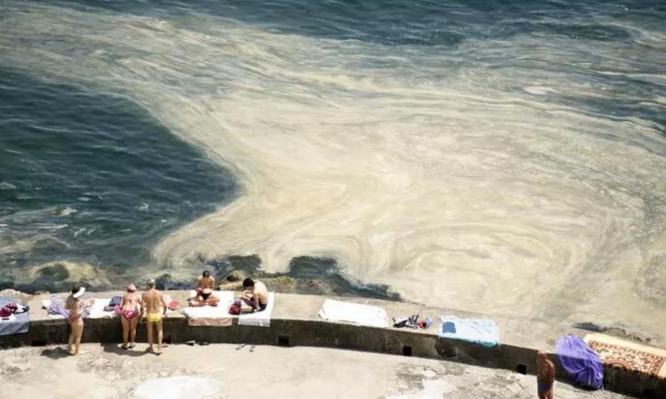 Mucillagini e alghe: fenomeno Inusuale sulla costa marchigiana