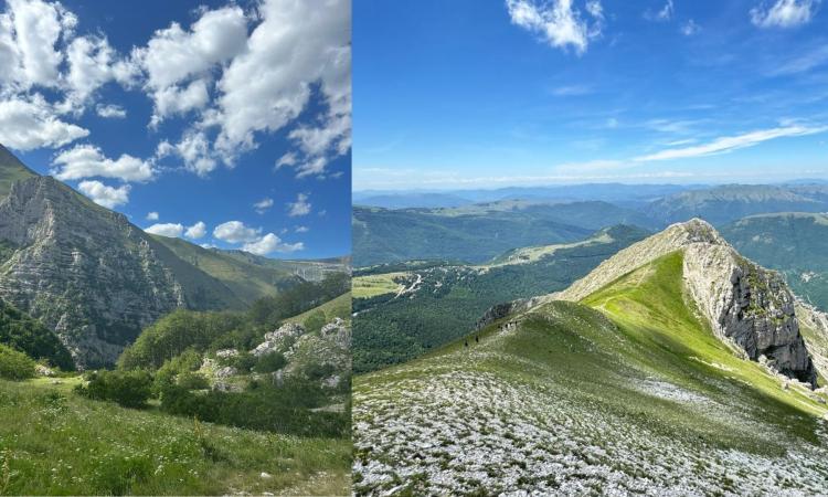 Nasce il "trekking ghiotto" dei Sibillini: passeggiate nella natura (anche in notturna) e buon cibo